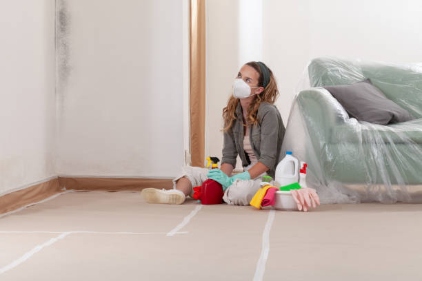 Reliable Mold Remediation contractor in Lyons, OR by WQB Mold Removal